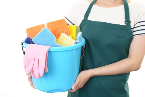 Professional window cleaning for elegant Belgravia townhouses