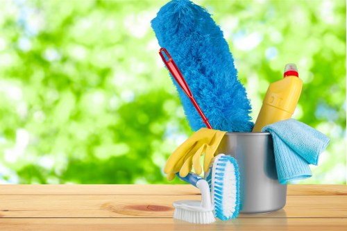 Professional end of tenancy cleaning in a rental home