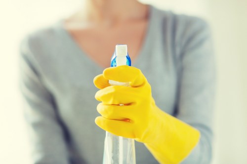 Kitchen and bathroom cleaning essentials in a home