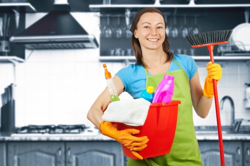 Preparing supplies for deep cleaning in the house