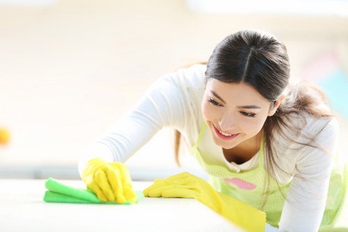 Technician performing deep cleaning on a sofa