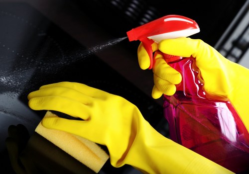 Kitchen domestic cleaning with polished counters and appliances