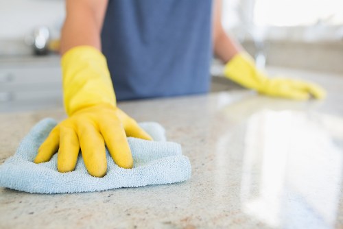 Professional cleaning supplies used for move in cleaning